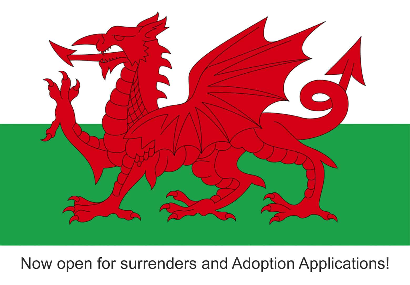 Wales Region Now Open!