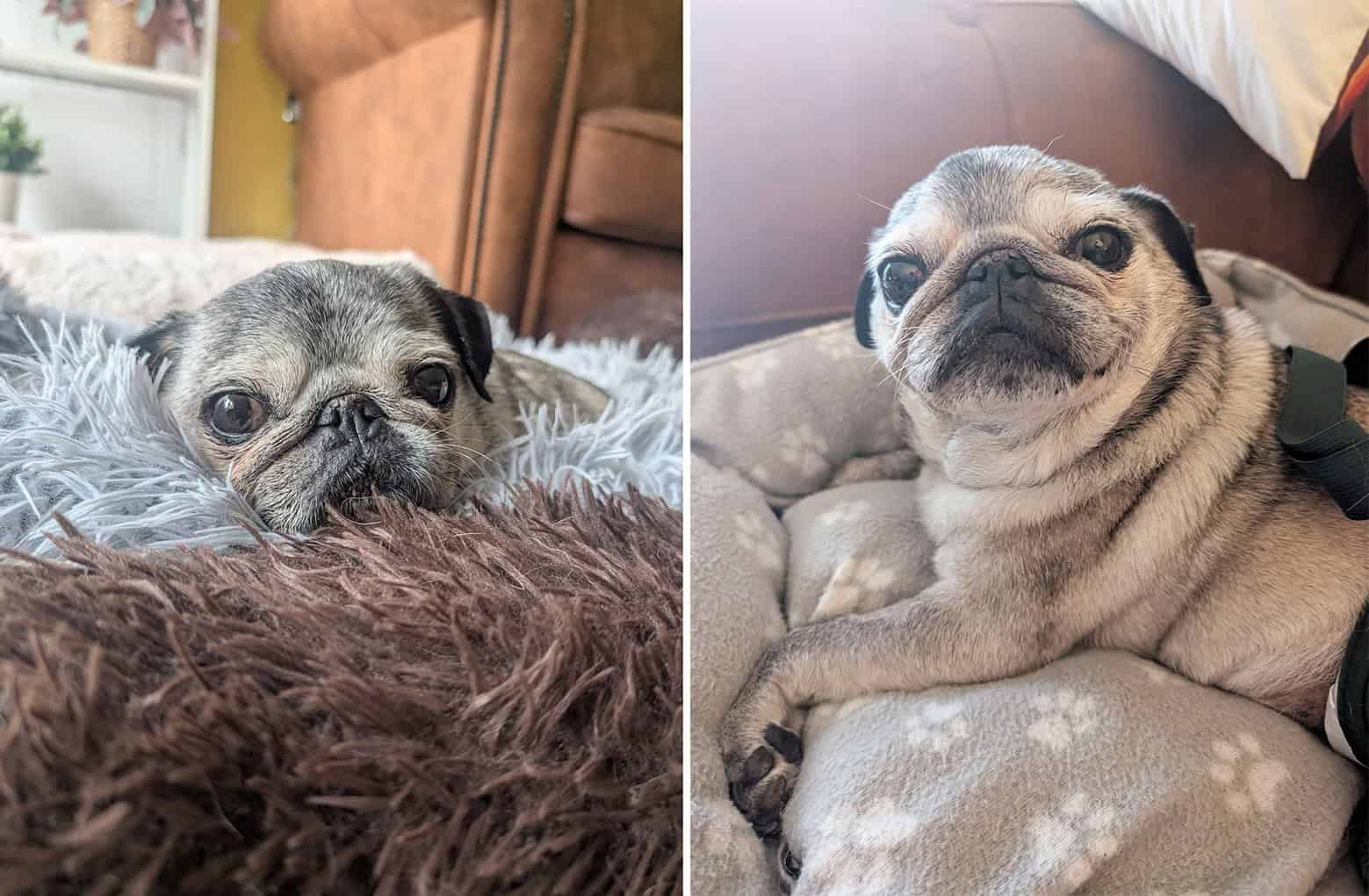 In Loving Memory of Winnie