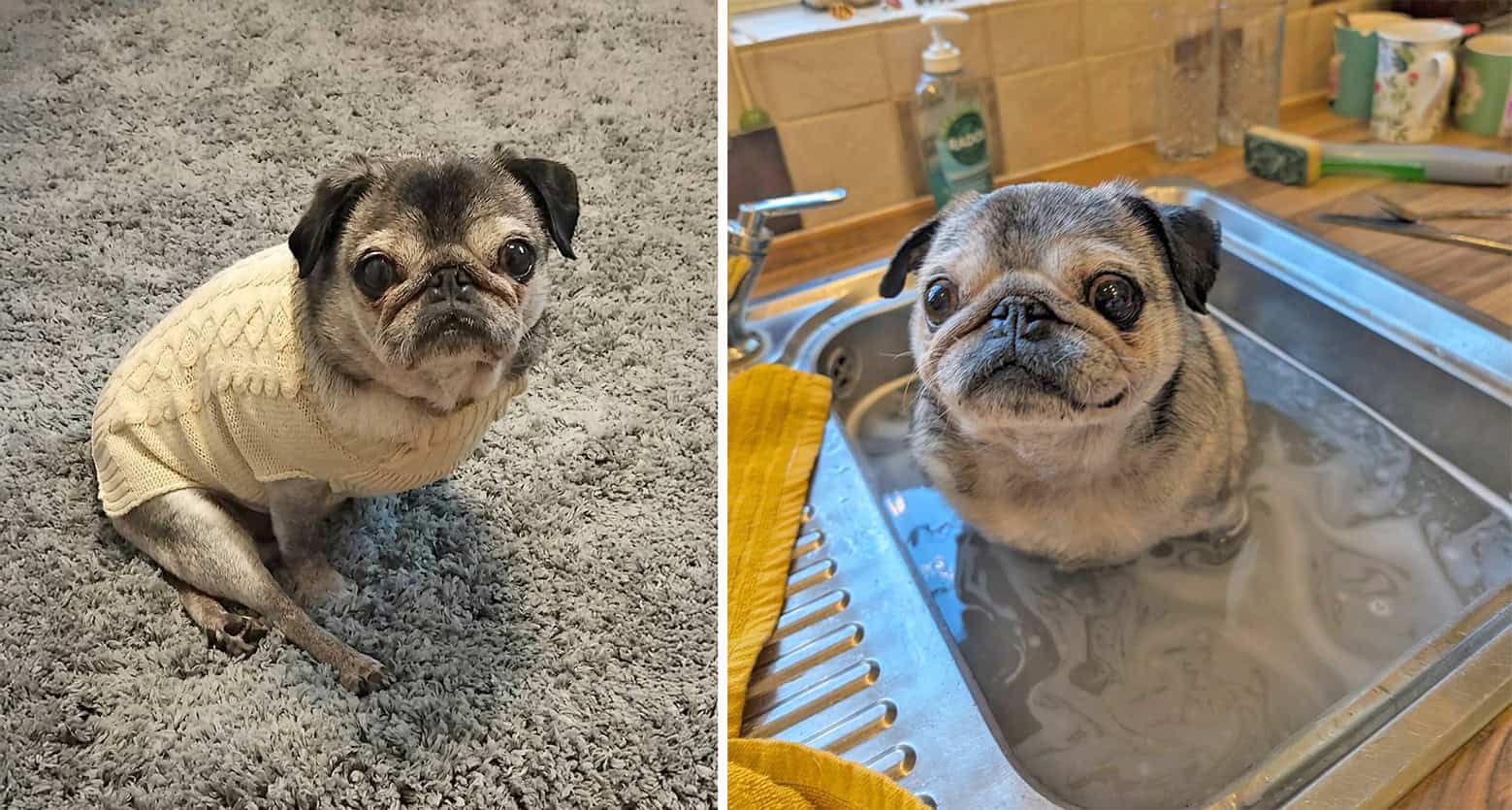 In Loving Memory of Winnie