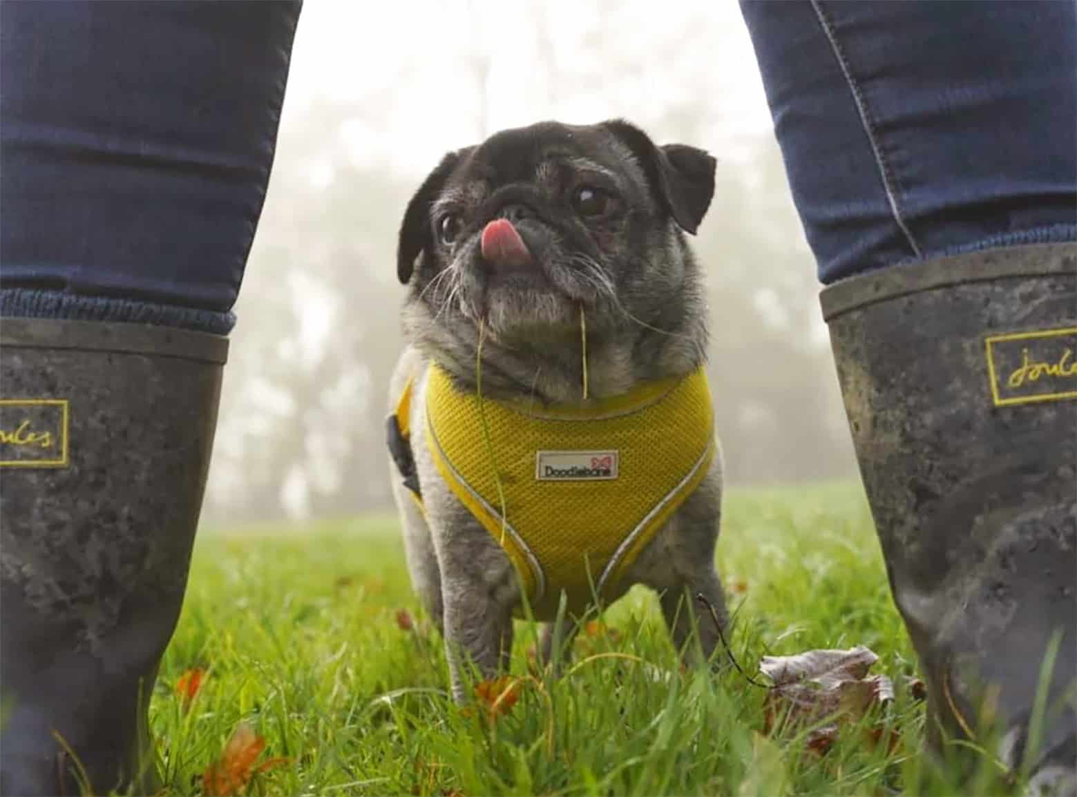 In Loving Memory of Winnie