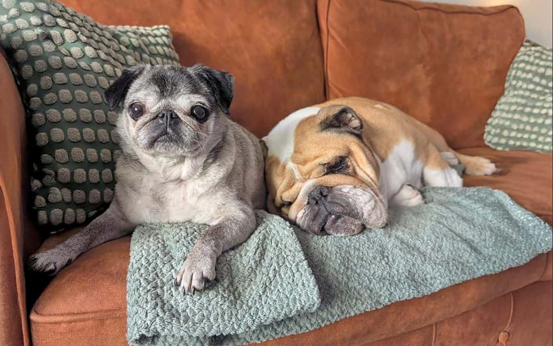 In Loving Memory of Winnie