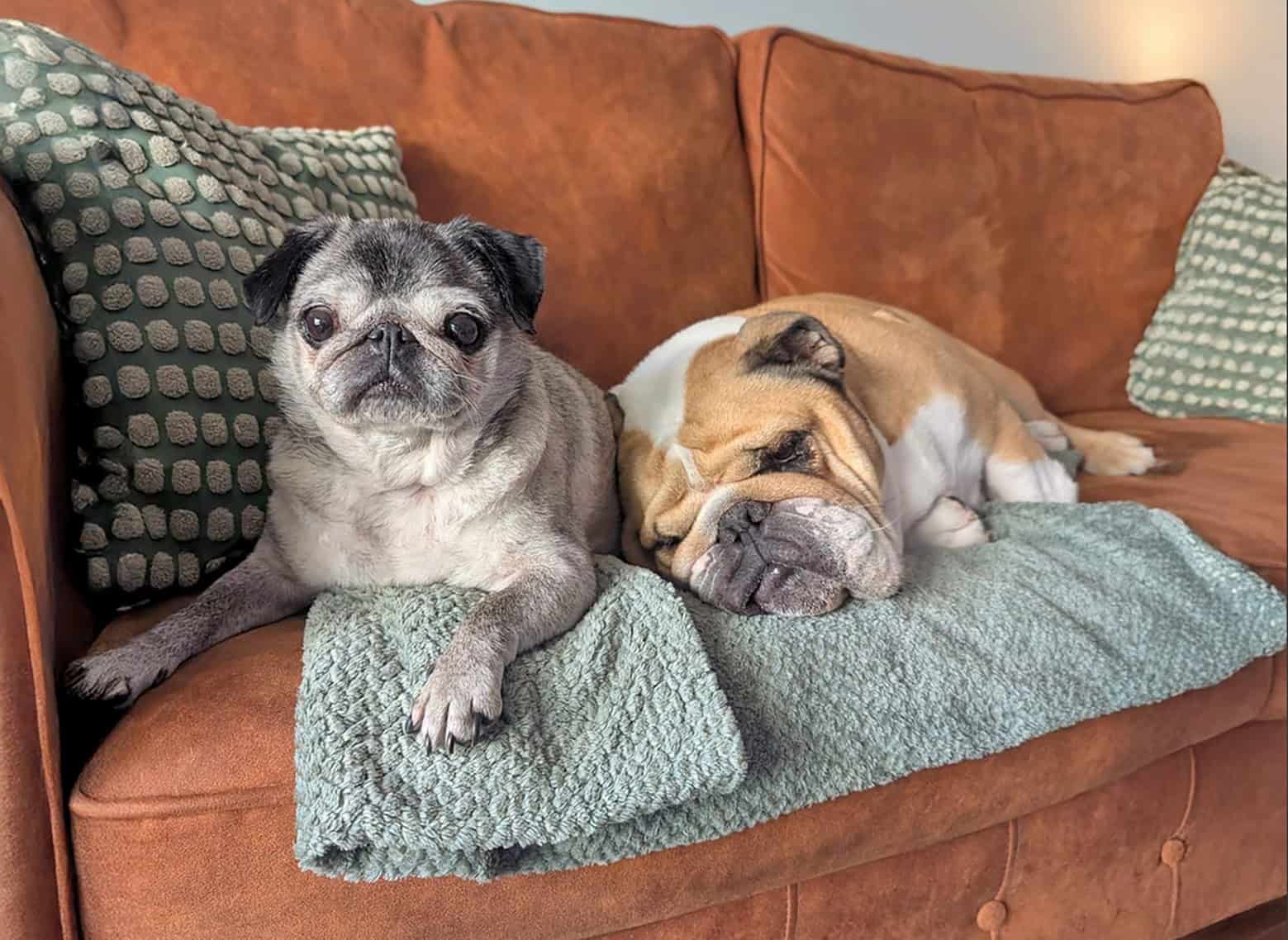 In Memory of Winnie