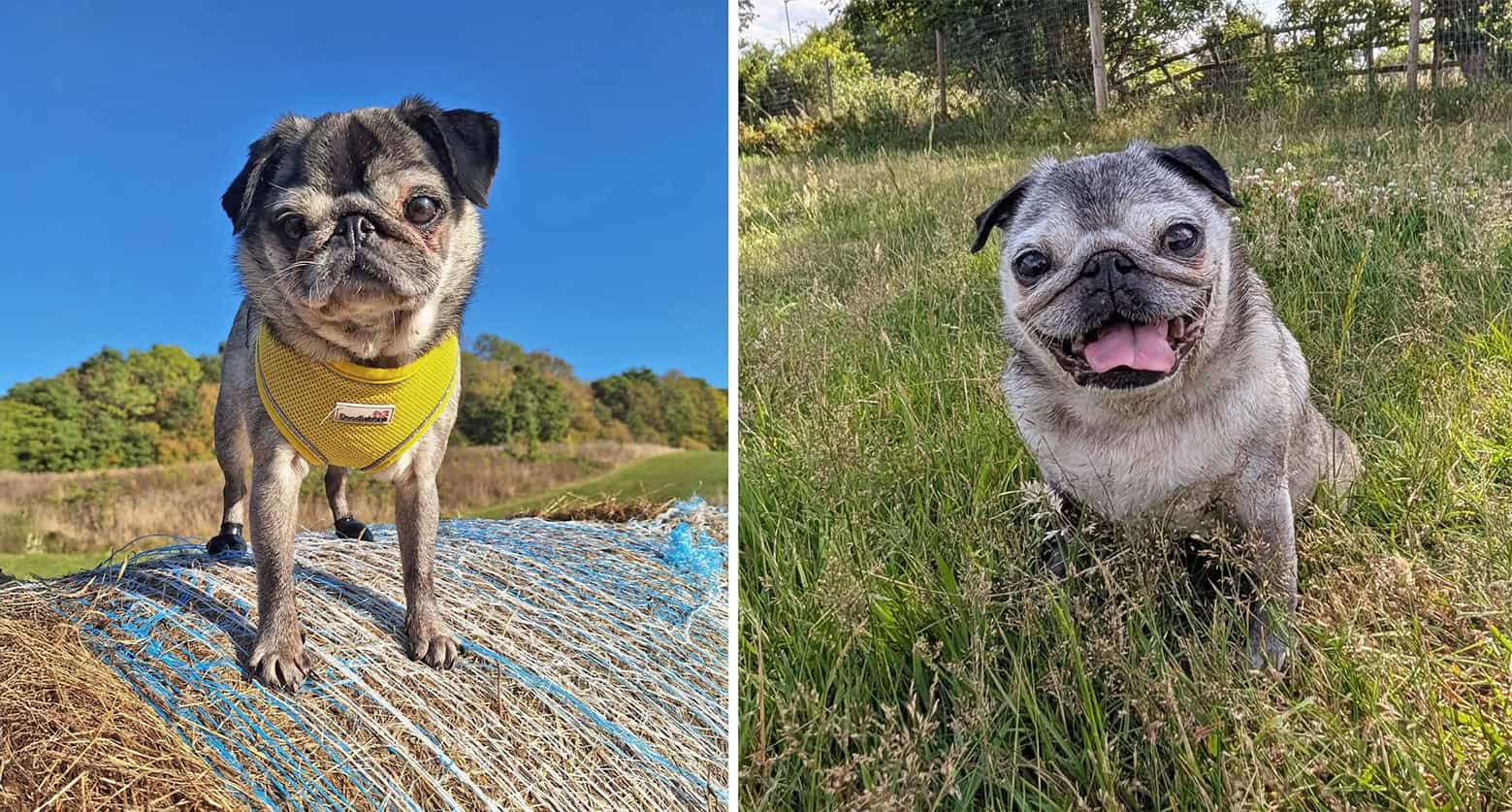 In Loving Memory of Winnie