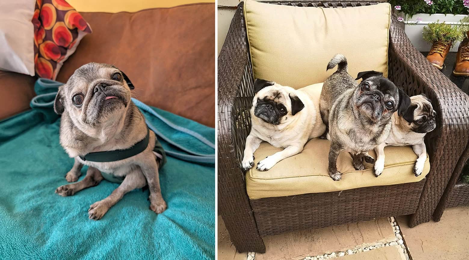 In Loving Memory of Winnie