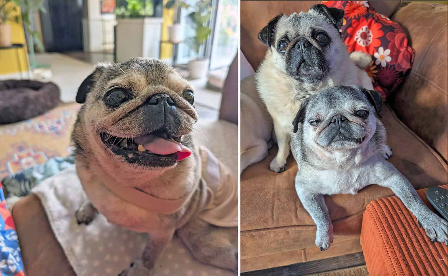 In Loving Memory of Winnie