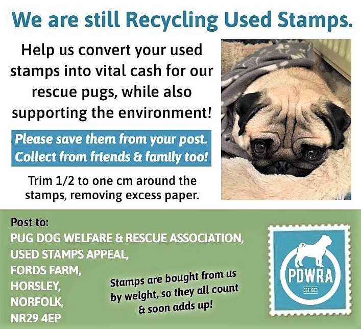 Donating to Pug Dog Welfare  The Pug Dog Welfare & Rescue Association