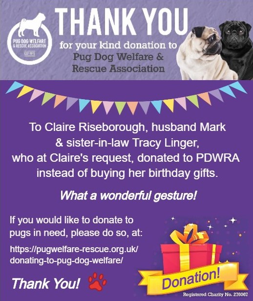 Donating to Pug Dog Welfare  The Pug Dog Welfare & Rescue Association