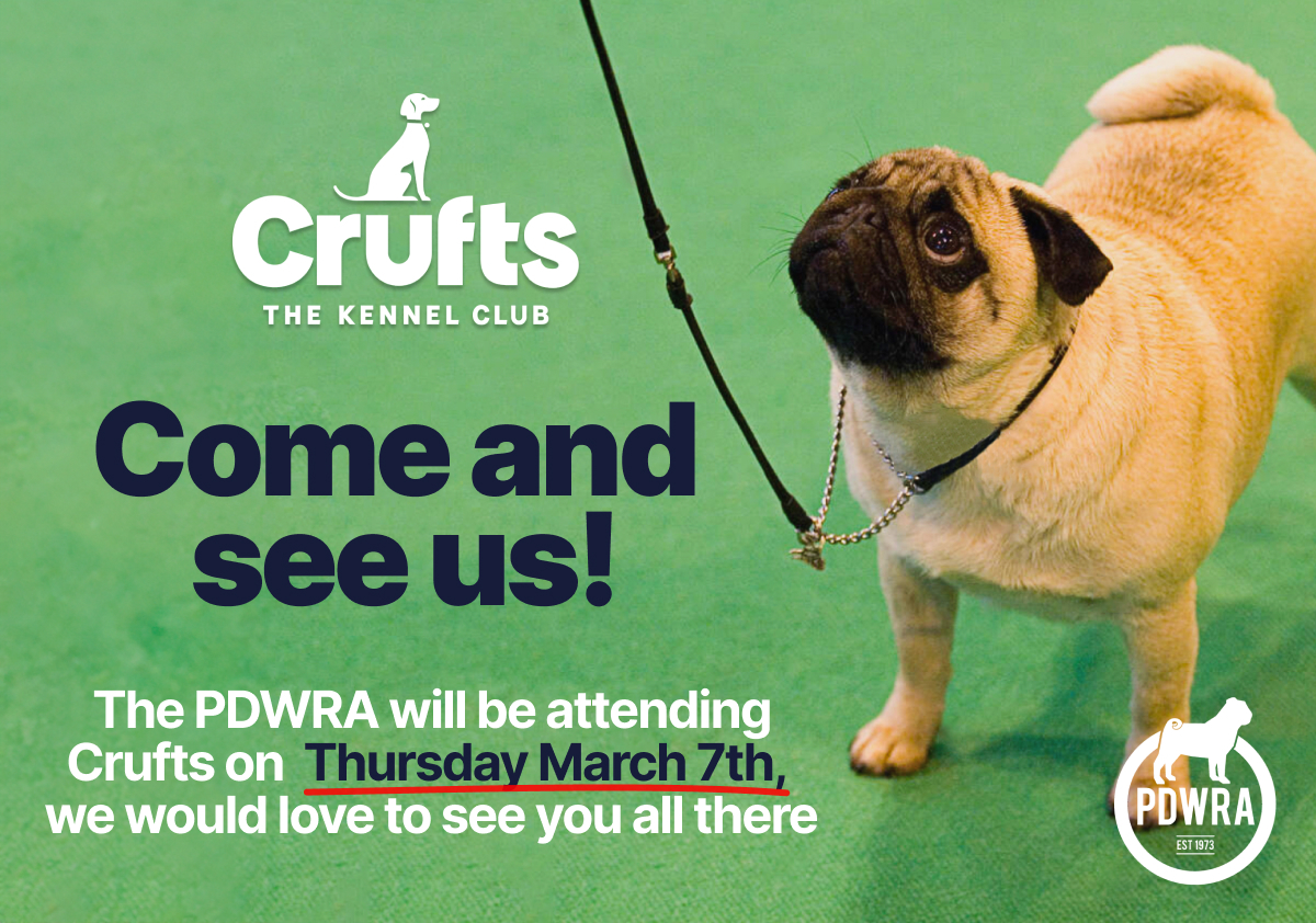 Join us at Crufts this Thursday, March 7th!